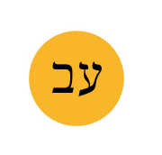 עברית